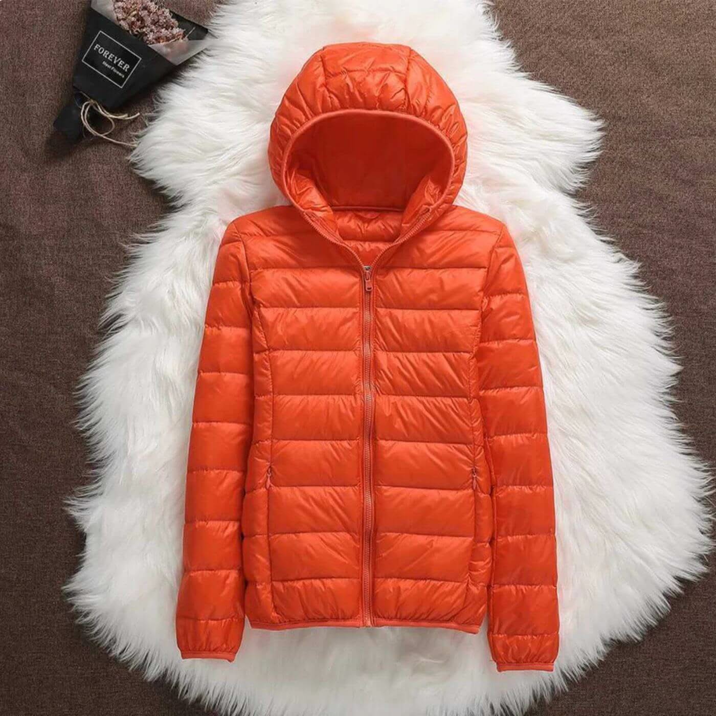 IVY | Windproof jacket with lightweight shell
